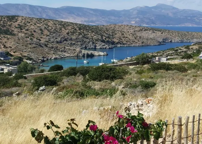 بيت ضيافة Alexandra 3*