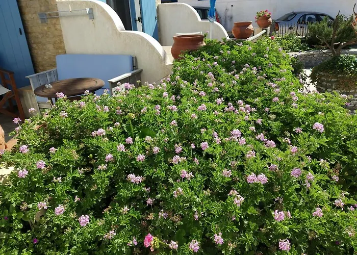 Alexandra بيت ضيافة