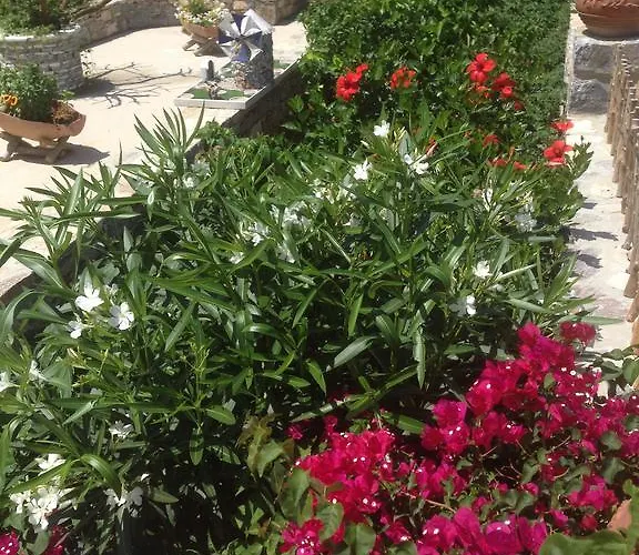 Alexandra 3* Irakleia (Naxos)